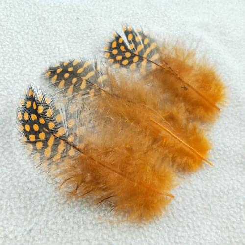 Wholesale 20pcs / lot beautiful orange guinea fowl feathers 2-4inches / 5-10cm beautiful dot pattern pearl feather