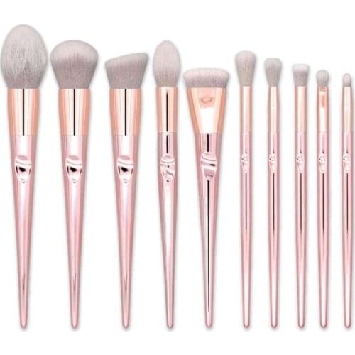 10 pieces Novice Beginner Professional Cosmetic Brushes Set With Bag