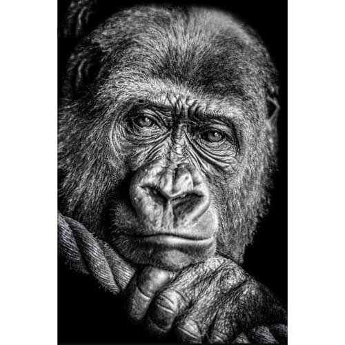 New Diamond Embroidery Animal Gorilla 2019 5d Diamond Painting Full Square Rhinestones Picture Diamond Mosaic Beadwork