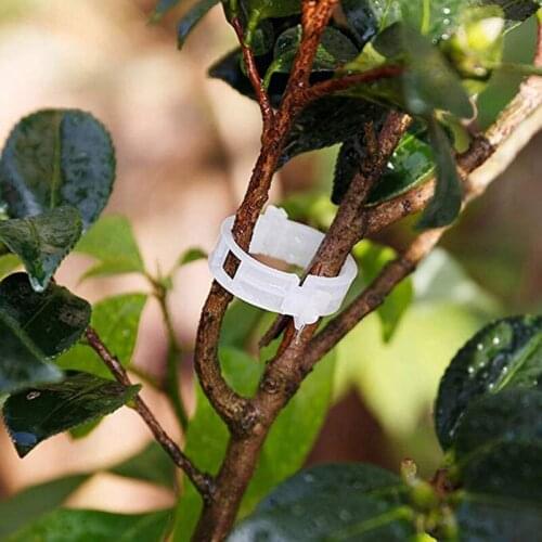 50/100PCS Reusable Plastic Plant Support Clips Garden Tools For Garden And Vegetable Patch Plant Stand Tomato Clips Plant Clips