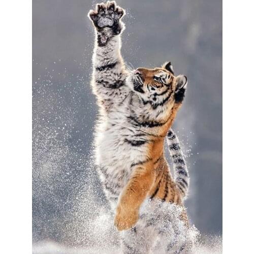 Diamond Painting Tiger Cross-Stitch Round Full Drill Animal Diamond Mosaic Embroidery Europe Diamond Mosaic Resin Pictures