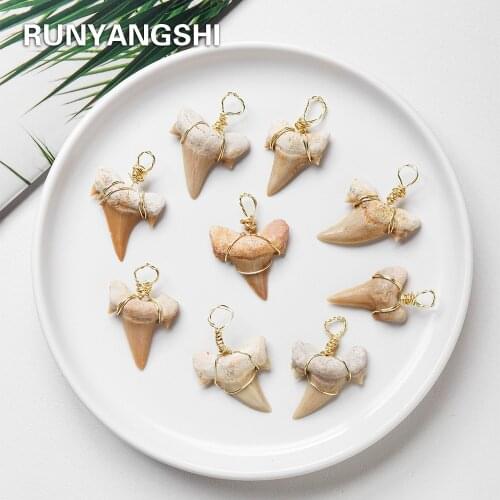 Natural crystal fossil Shark teeth Hand woven Pendant Black Leather Rope Necklace Pendant collection