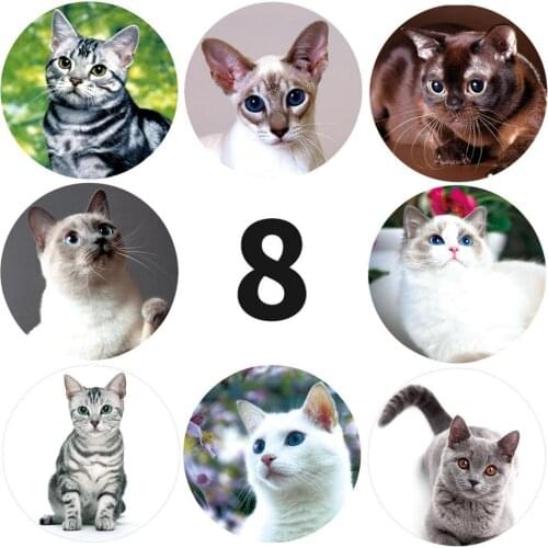 50pcs Creative Cartoon Animals Cat Stickers 1inch Labels Reward Sticker for School Teacher Kids Toys Smiley Stationery Sticker