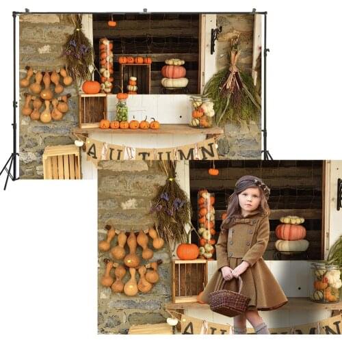 Autumn Backdrop Rural Autumn Photography Banner Countryside Crops Pumpkin Decorations Baby Portrait Photo Studio Background Prop