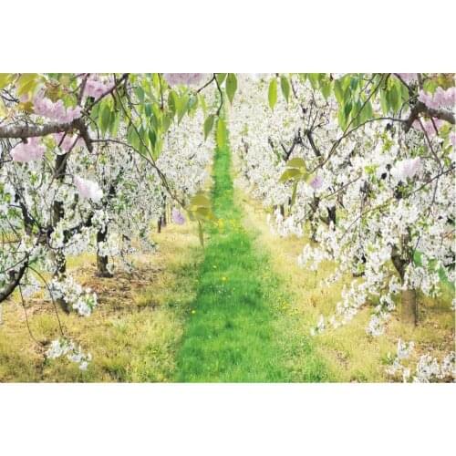 White Pear Blossom Tree Backdrop Photography Background Celebration Photo Booth Studio Decor