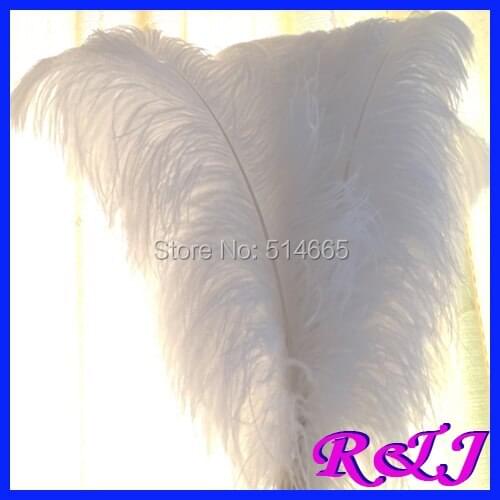 Wholesale 100PCS 60-65cm 24-26inch White OSTRICH FEATHER real ostrich plumage ostrich plumes EMS Free Shipping