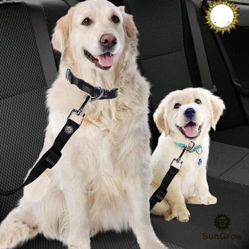 Car Seat Belts for Dogs & Cats - Prevent Stress from Travel - Allow Breathing Fresh air Without Pets Jumping Out