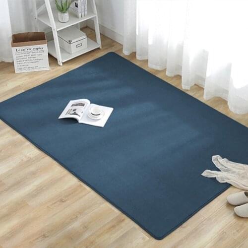 Modern Coral Velvet Carpet Water Absorption Anti-slip Living Room Area Rug Thicken Solid Color Children Bedroom Bedside Rug