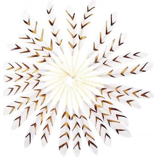 Wholesale White Gold Duck Feather 10pcs-100pcs-500pcs DIY feathers for crafts10-15cm-4-6inch and Wedding decoration party plumes