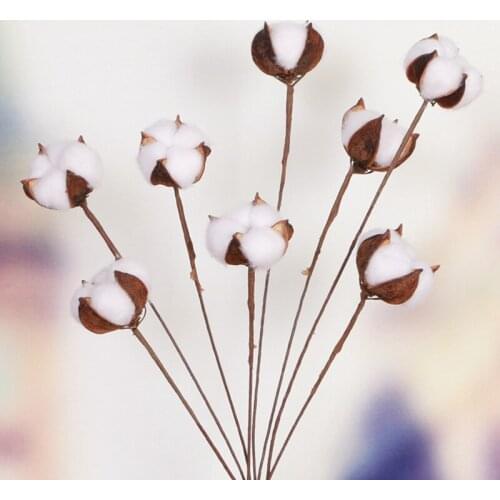 10pcs/lot Dried Plant Artificial Cotton Flower New Simulation White Cotton Flower Holy Poetic Style Wedding Decoration for Home