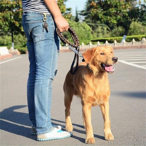 100PCS Leather Large pet Dog Leash Fashion Big Dog Leads Suit Chain Adjustable Traction Rope Collar