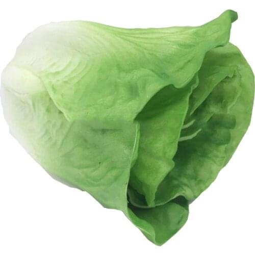 Winaqum Artificial Leaves