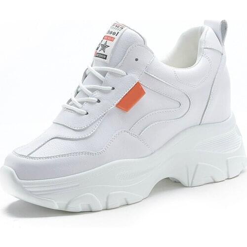 White Women Shoes New Lace-Up Chunky Sneakers for Women Vulcanize Shoes Casual Fashion Warm Dad Shoes Platform Sneakers Basket