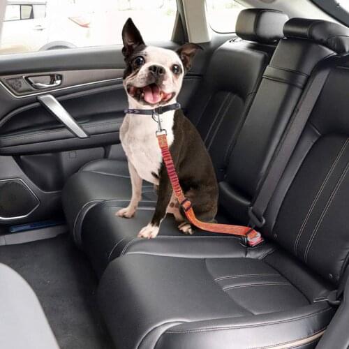 1pc Pet Car Seat Belt Adjustable Dog Cat Seat Belt Reflective Safety Rope Traction Rope For Pet Chest Strap Cushioning Elastic