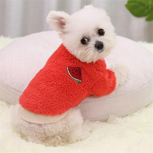 Super Cute Red Watermelon Pattern Plush Pet Clothing Cat Sweater Dog Accessories Winter Chihuahua Dog Sweater Small Dog Costume