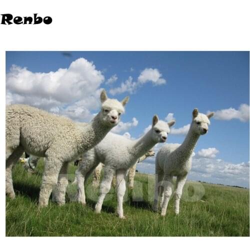 Full Square DIY Diamond Painting animal alpaca pictures mosaic diamond Embroidery 5d Diamond Cross Stitch,home decor A980