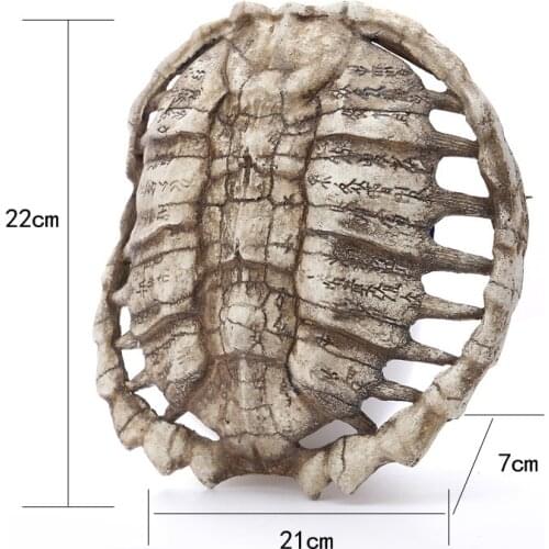 MRZOOT Home Furnishing Decoration Resin Craftwork Skull Turtle Shell Wall Hanging Research Accessories Oracle O