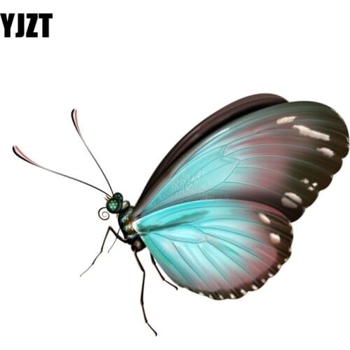 YJZT 14.3CM*10.1M Beautiful Colorful Butterfly Decal PVC Motorcycle Car Sticker 11-00654