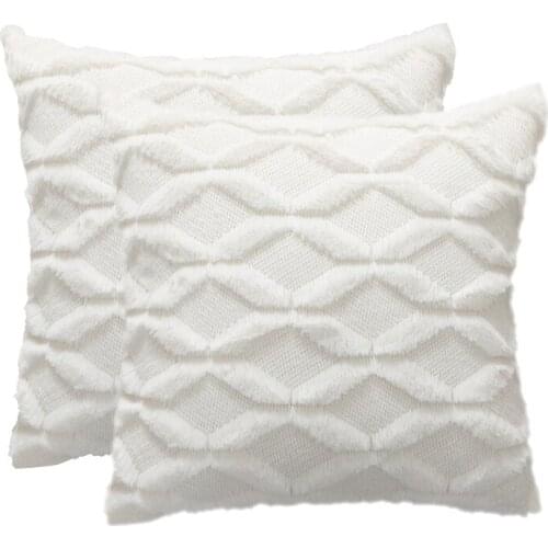 2Pcs Soft Plush Decorative Cushion Covers Luxury Style Throw Pillow Cases Pillow Shell for Sofa Bedroom Square 18X18Inch