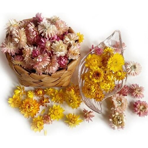 100Pcs Real Gerbera Daisy Flowers Heads Flores Decorativas Party Room Decoration Accessories Craft Fotografia Dried Flowers