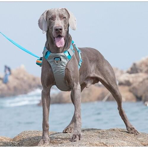 Pet Harness Dog Reflection Harness Large Dog Vest Pets Accessories Nylon Explosion-proof Punch No Pull Car Walk Comfortable