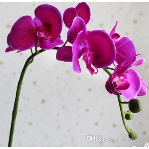 Display flower Moth Orchid flower butterfly orchid artificial flower for home wedding decoration whole saler free shipping