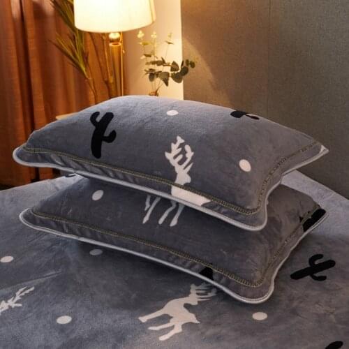 Cartoon Printed Flannel Pillowcases 2pcs/set 48x74cm Home Decor Pillow Case Soft Velvet Winter Warm Sleeping Pillow Cover