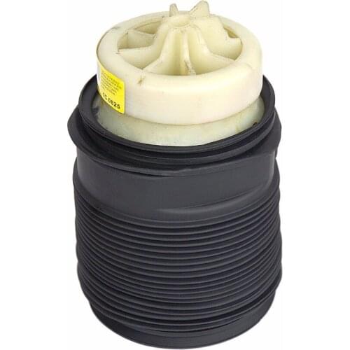 2123200825 For Mercedes E63 AMG E500 E250 Rear Right Air Suspension Spring