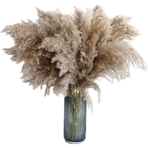 20pcs Dried Flowers Reed Flowers Sen Retro Coffee Ornaments Big Reed Wedding Europe And North Europe Dried Reed Flowers