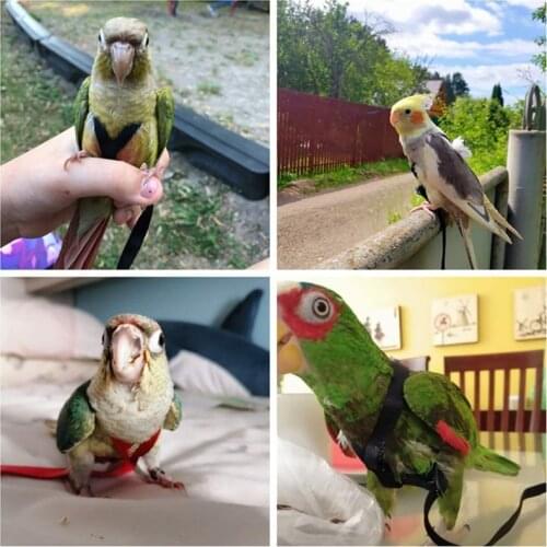 Parrot Bird Harness Leash Outdoor Flying Traction Straps Band Adjustable Anti-Bite Training Rope