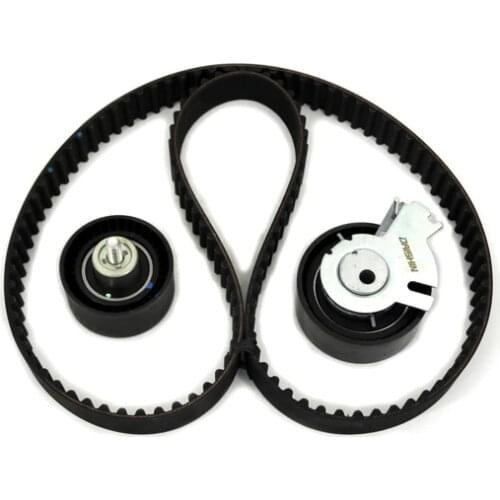 TIMING REPAIR KITS for PEUGEOT:307(1.6)06-13 TU5JP4 DS070149