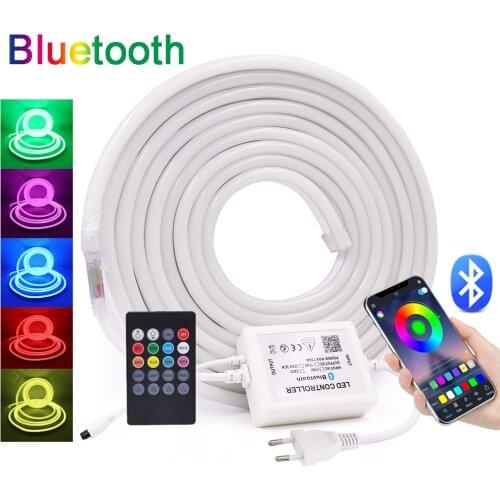 RGB Neon Light 220V 110V WIFI Bluetooth Neon Strip 5050 Outdoor Waterproof Neon Ribbon Night Lamp Flexible Neon Sign Home Decor