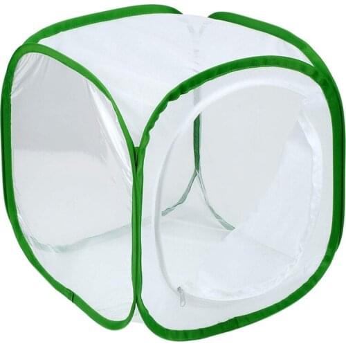Insect and Butterfly Habitat Cage Terrarium -up 12 x 12 x 12 Inches (White + green)