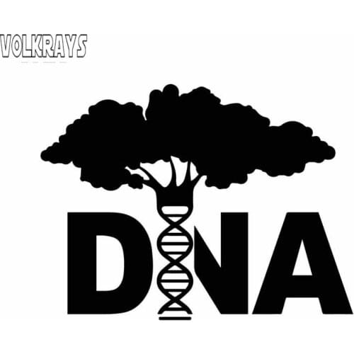Volkrays Personality Car Sticker DnaTree Genetics Biology Molecule Science Accessories Vinly Decal Black/Silver,11cm*15cm