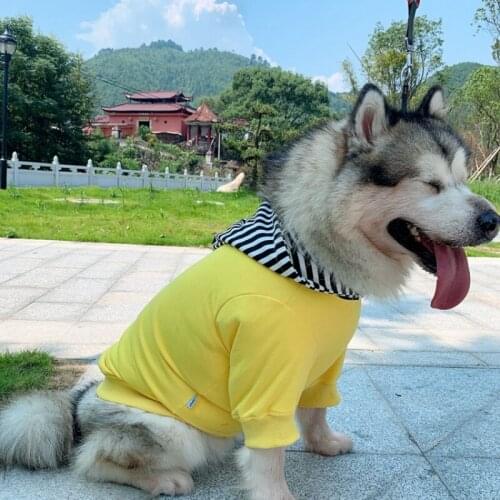 Dog Hoodie Small Dog Clothes Winter Big Large Dog Clothing Poodle Bichon Pug Corgi Samoyed Golden Retriever Clothes Pet Outfit