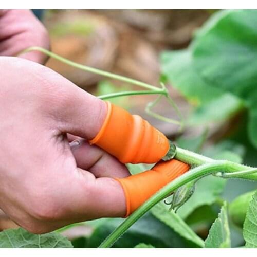 Practical Head Finger Vegetable Cutting Debugger