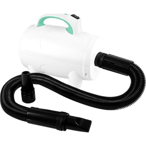 Zq Pet Water Dispenser Cat Large Dog Special Hair Dryer Household High-Power Low Noise Dog Drying