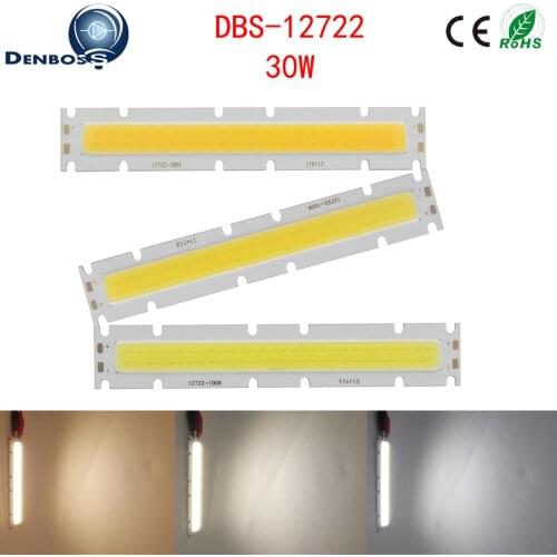 10PCS 127mm 30W LED COB Strip 22mm High Power Light Source COB LED DIY bulb Module 30-33V DC lamp for Outdoor Downlight