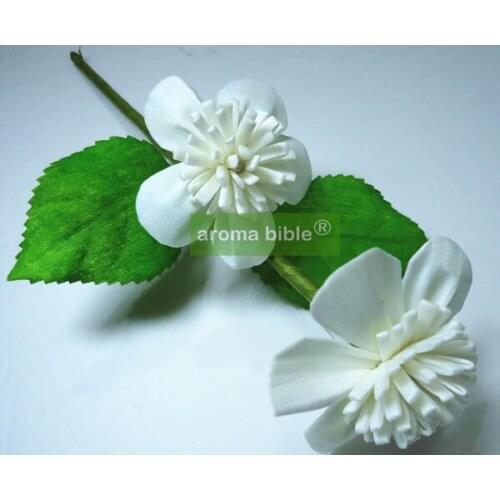 1000 pcs /lot Handmade sola wood flowers for fragrance diffuser and home decor with 12cm Rope or rattan reed sticks Top quality