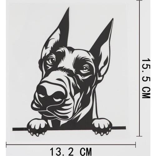 13.2CMX15.5CM Doberman Decal Peeking Dog Peek a Boo Vinyl Car Sticker Black/Silver 8A-0523