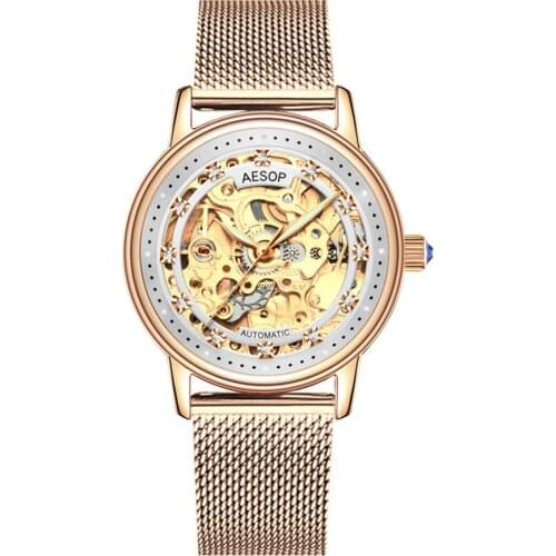 Relogio Feminino AESOP Women Watches Top Brand Luxury Skeleton Clock Woman Waterproof Fashion Automatic Mechanical Wristwatches