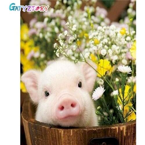 GATYZTORY 60x75cm DIY Painting By Numbers Pig Coloring Zero Basis Animal HandPainted Oil Painting Home Decor Unique Gift
