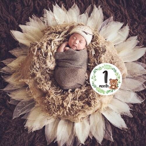 HX5D 12 Pcs/Set Newborn Milestone Memorial Month Stickers Floral Baby Monthly Stickers Photography Commemorative Card Number