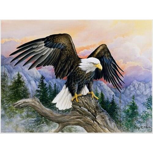 Picture Rhinestones Diamond Embroidery Cross Stitch Eagle Diamond Painting Full Square Animals Diamond Mosaic Bird LK1