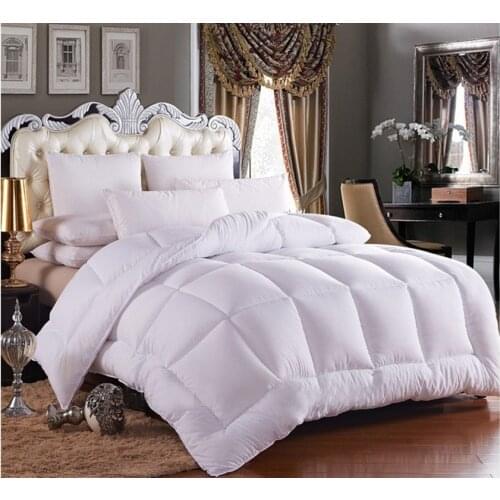 White Quilt Double Bedspread Thickened Keep Warm Student Dormitory Silk Wool Matte Hotel Feather Velvet Spring Autumn Wool Core