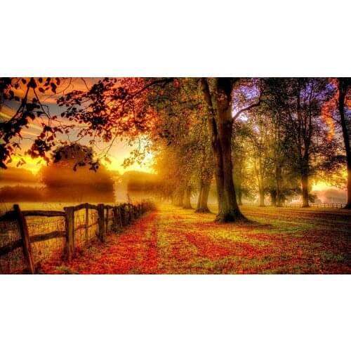 Fall Trees Autumn fence Leaves photo backdrop High quality Computer print scenic photo studio background