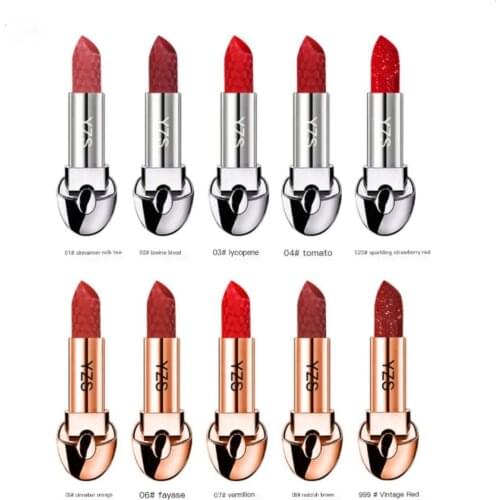 Wholesale high quality nude LZ-K05 lipstick private label cosmetic sexy 10 colors matte creamy waterproof lipstick style