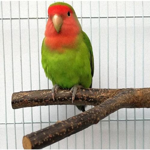 Pet Parrot Branch Perches Stand Wood Fork Stand Rack Pet Bird Mouth Grinding Claw Grinding Wooden Toy Rest Holder Pet Supplies