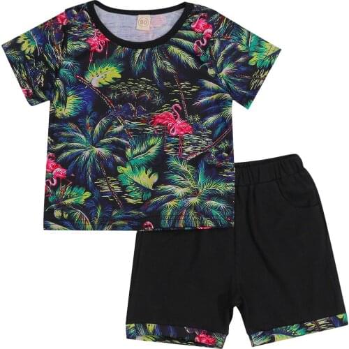 Kid Short Sleeve + Shorts, Flamingo Coconut Tree Print Sports Casual Style Summer Clothing 18M-6T 2Pcs Outfit