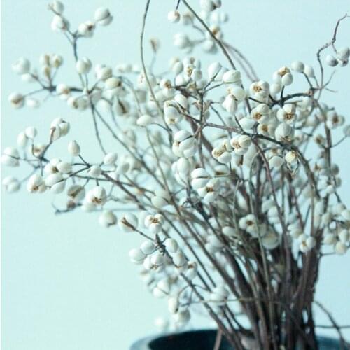 100g Natural Dried Flower Small White Fruit DIY Home Decoration Tallow Fruit Mushroom Grass Flowers For Wedding Party Festival